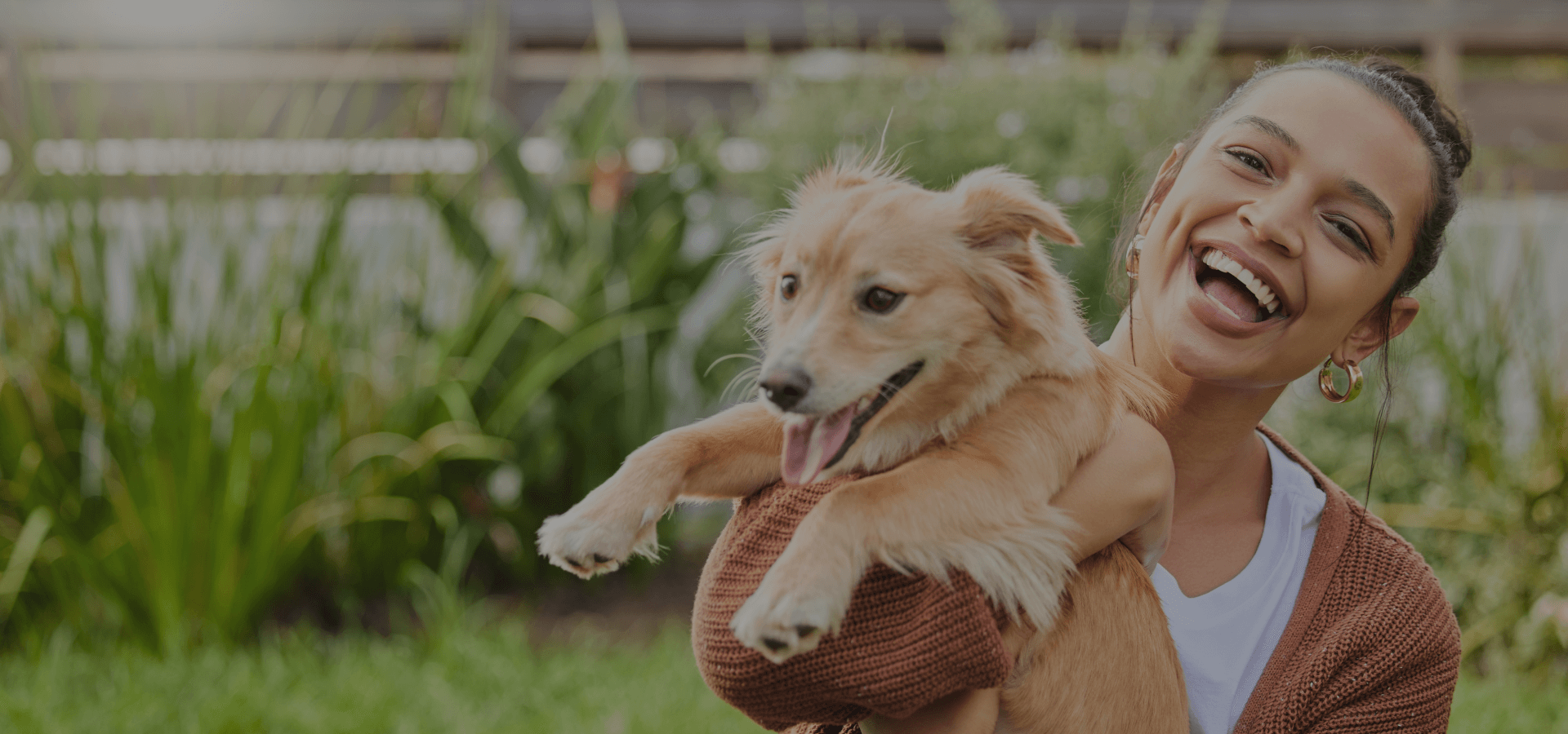 Free First Exam Northwest Pet Hospital 89108 Free First Exam Northwest Pet Hospital 89108